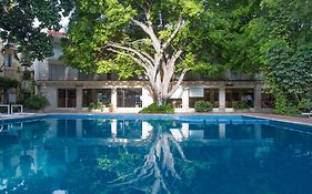 Hotel Viva Villahermosa